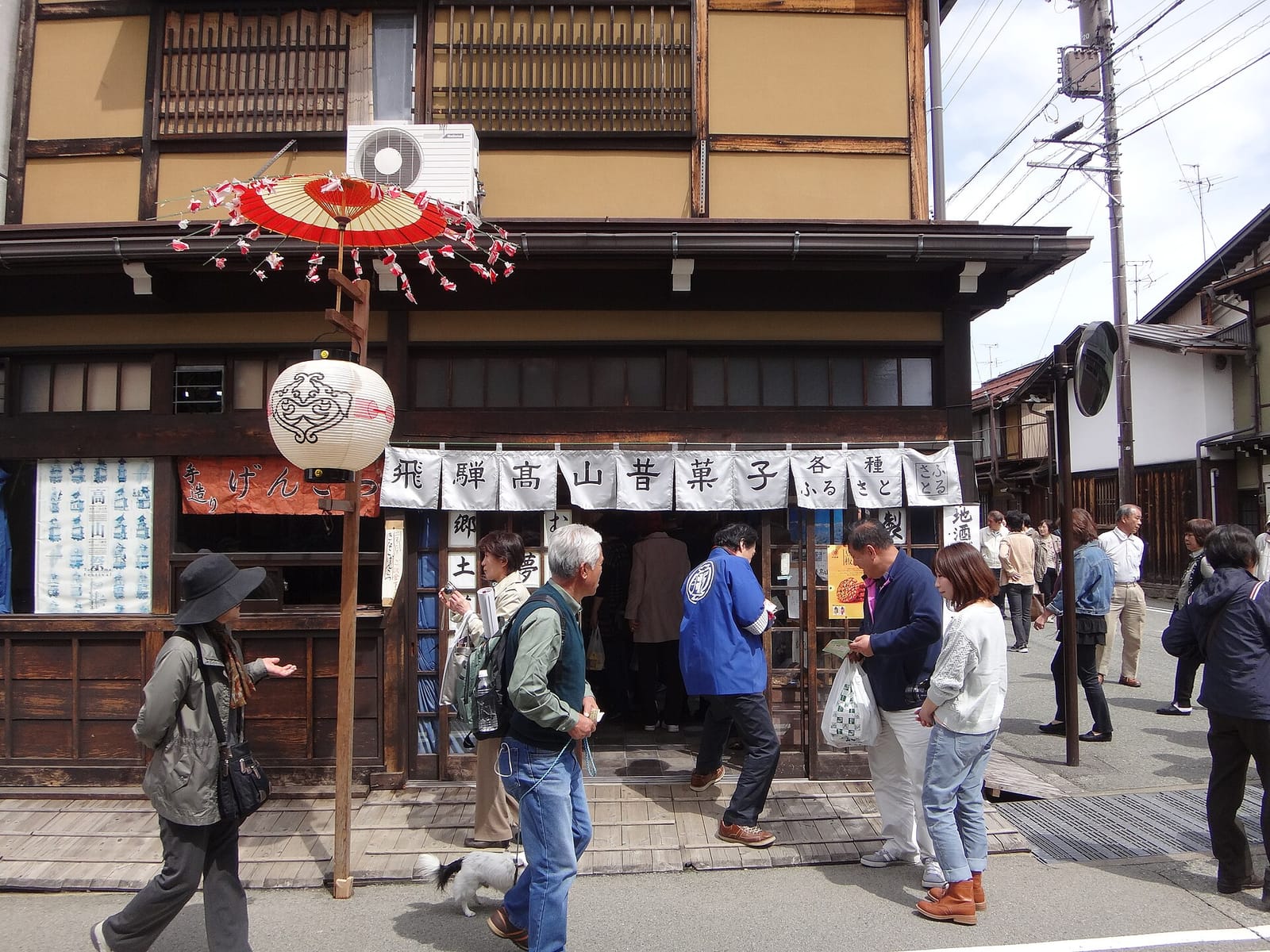 Oyogukuma