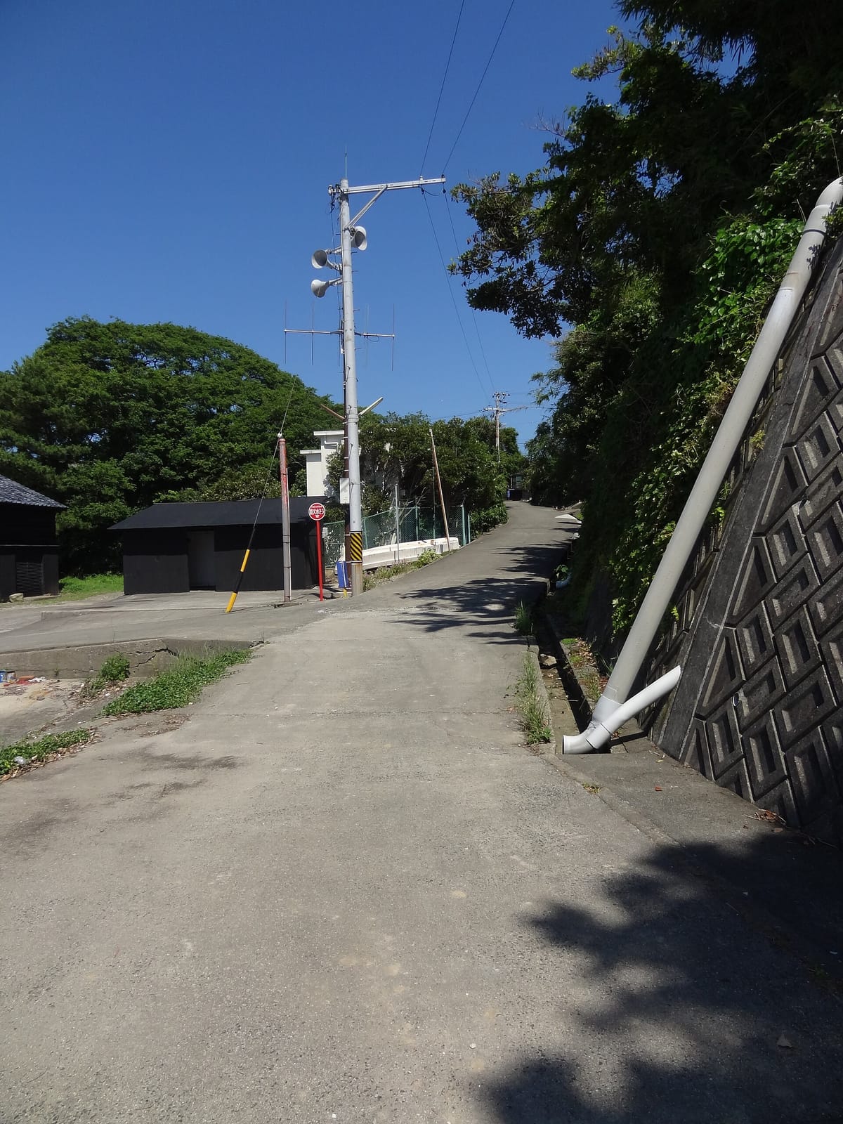 Ocean kitchenにぃやん photo 4