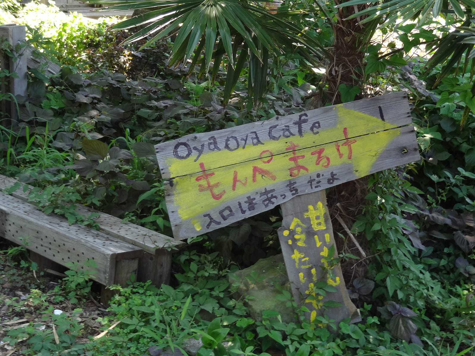 Oyaoyacafe もんぺまるけ photo 4