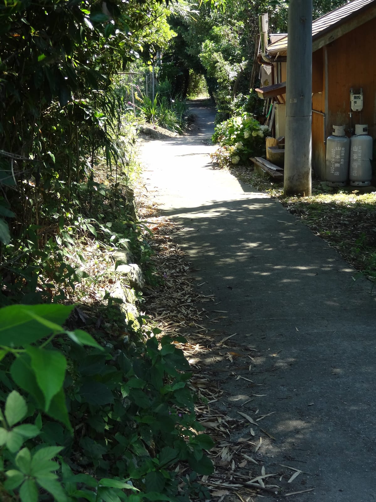 Oyaoyacafe もんぺまるけ photo 3