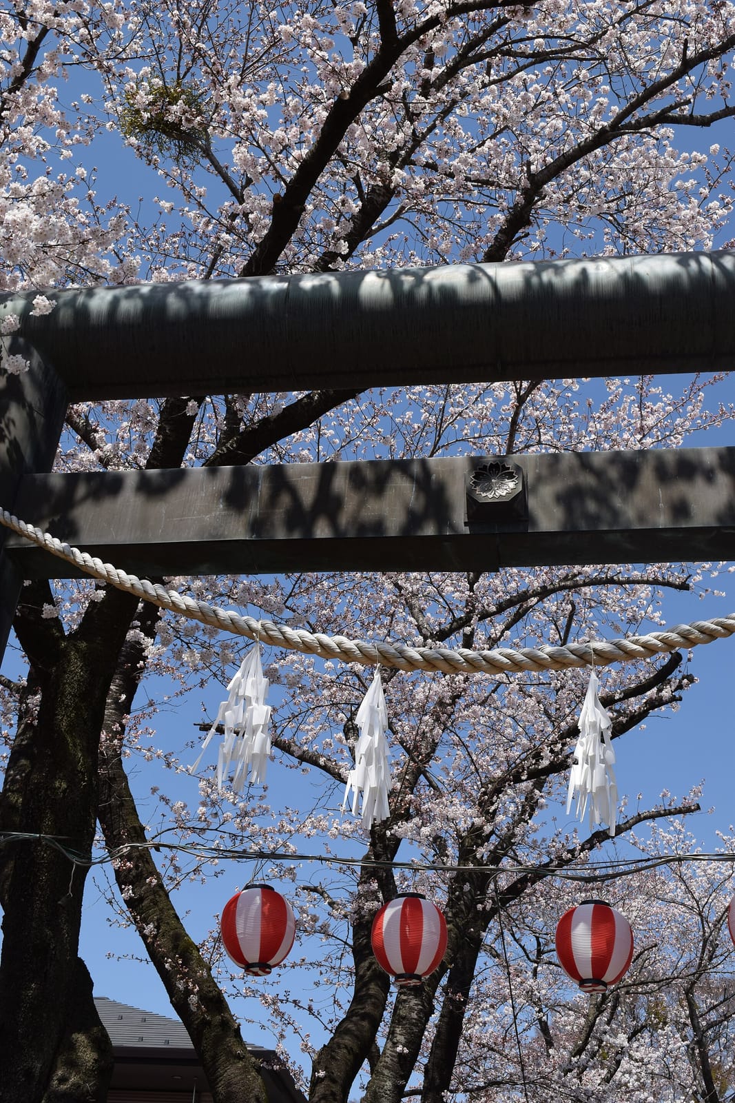 FabCafe Fuji photo 3