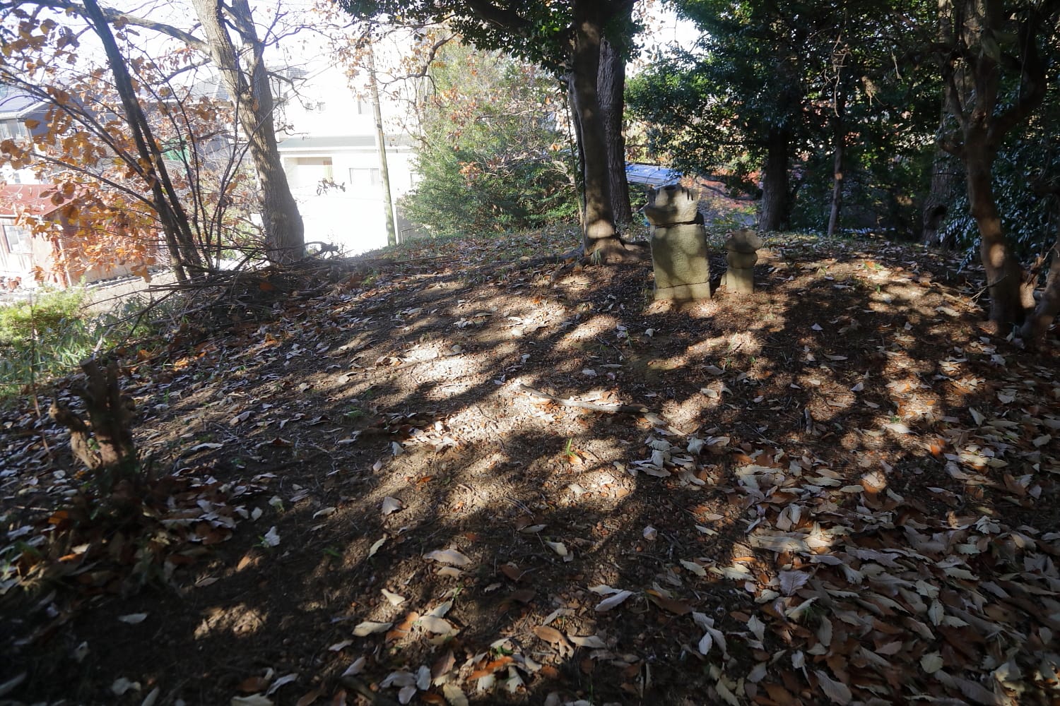 あん's cafe photo 2