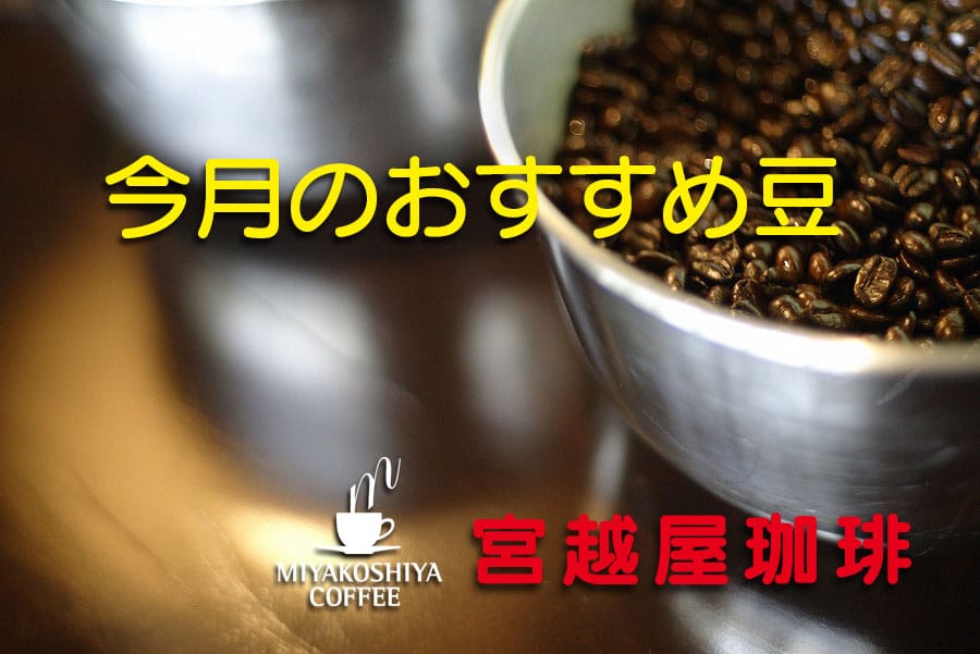 宮越屋珈琲 THECAFE