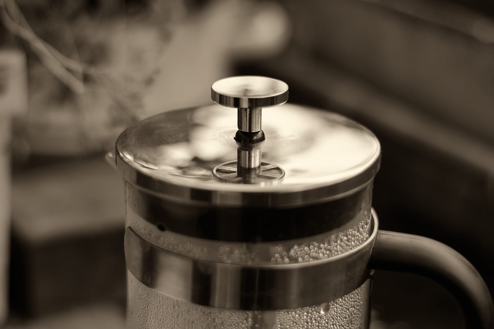 Sonia Coffee photo 4