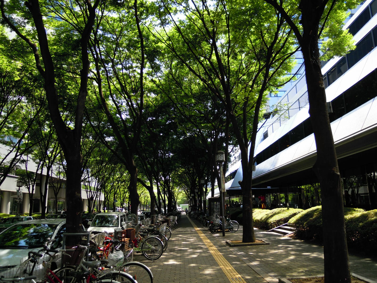 CAFE DI ESPRESSO 珈琲館 photo 3