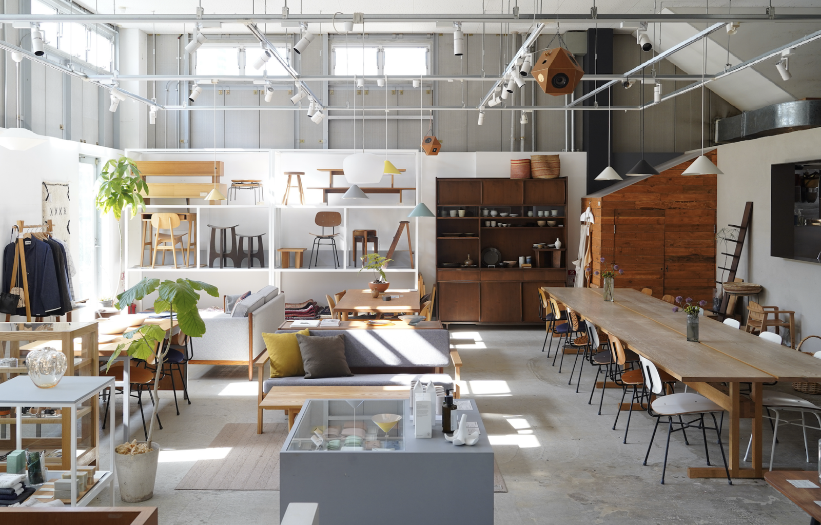 graf studio photo 5