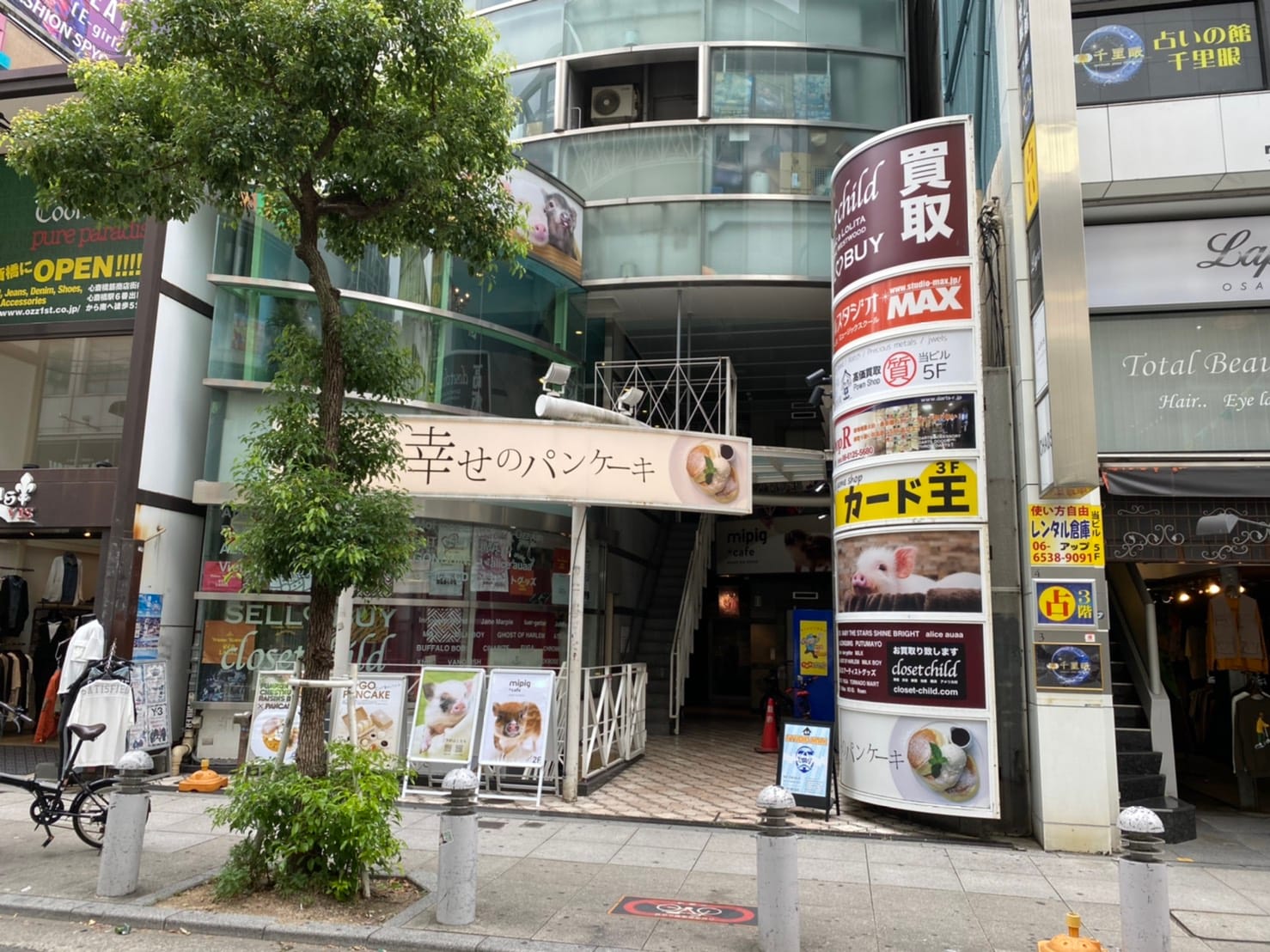 mipig cafe