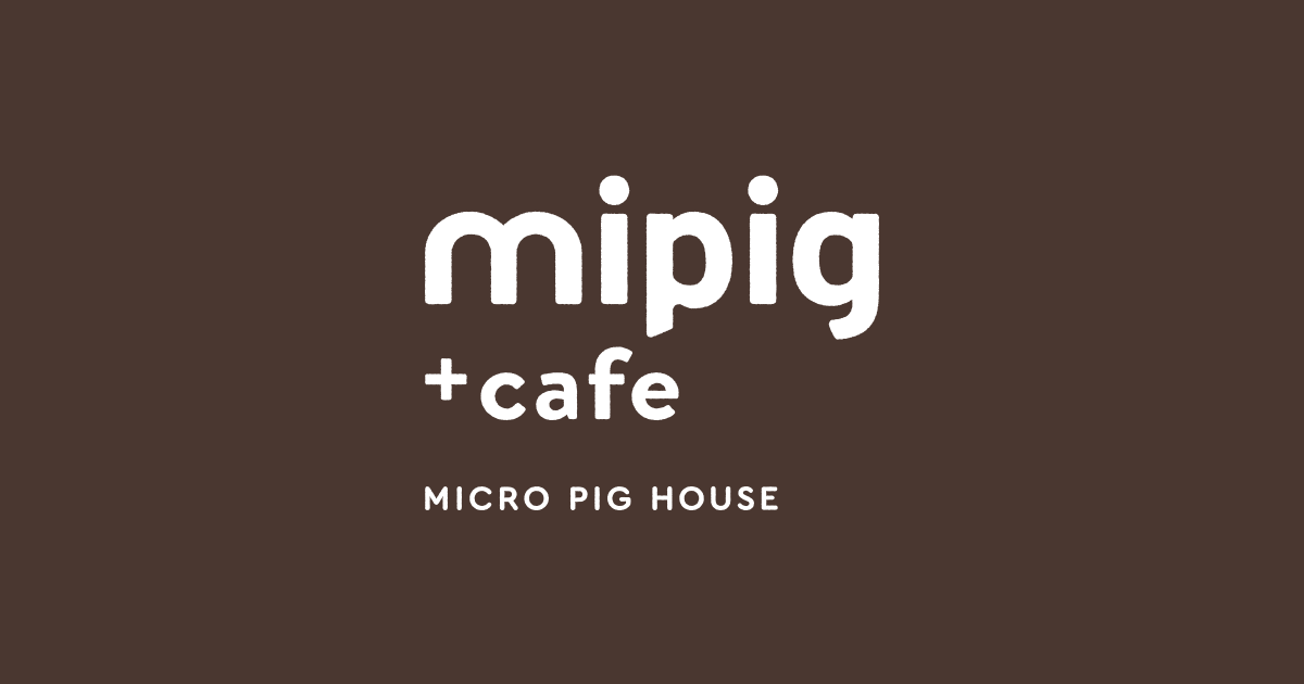 mipig cafe photo 2