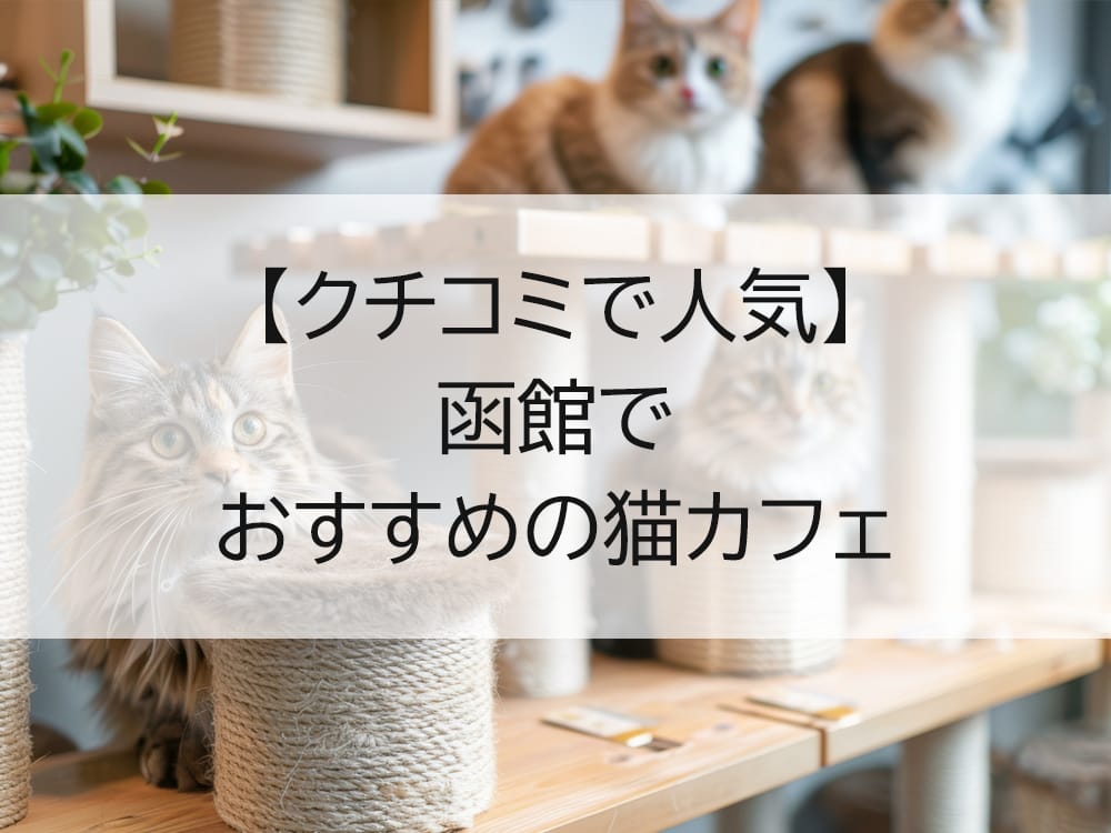 ねこ・JaLaLa photo 4