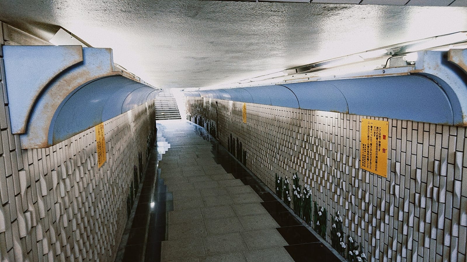 Single O photo 4