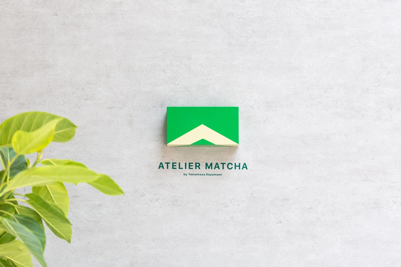 Atelier Matcha photo 3