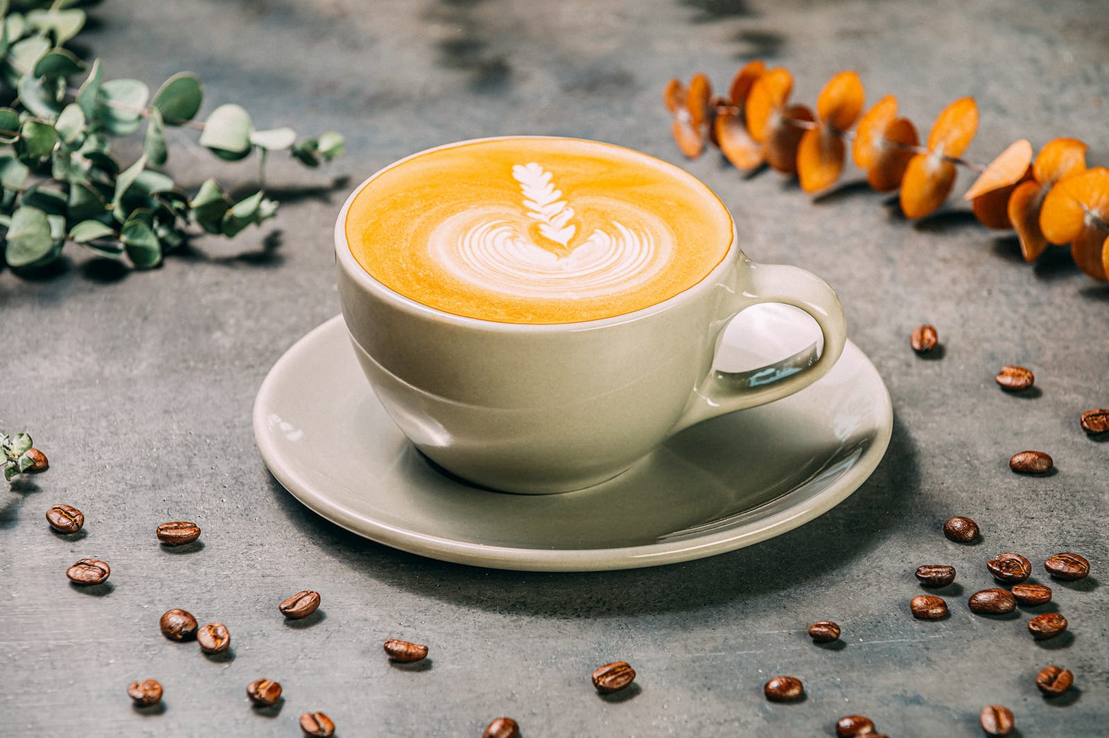 Coffee Camp photo 6