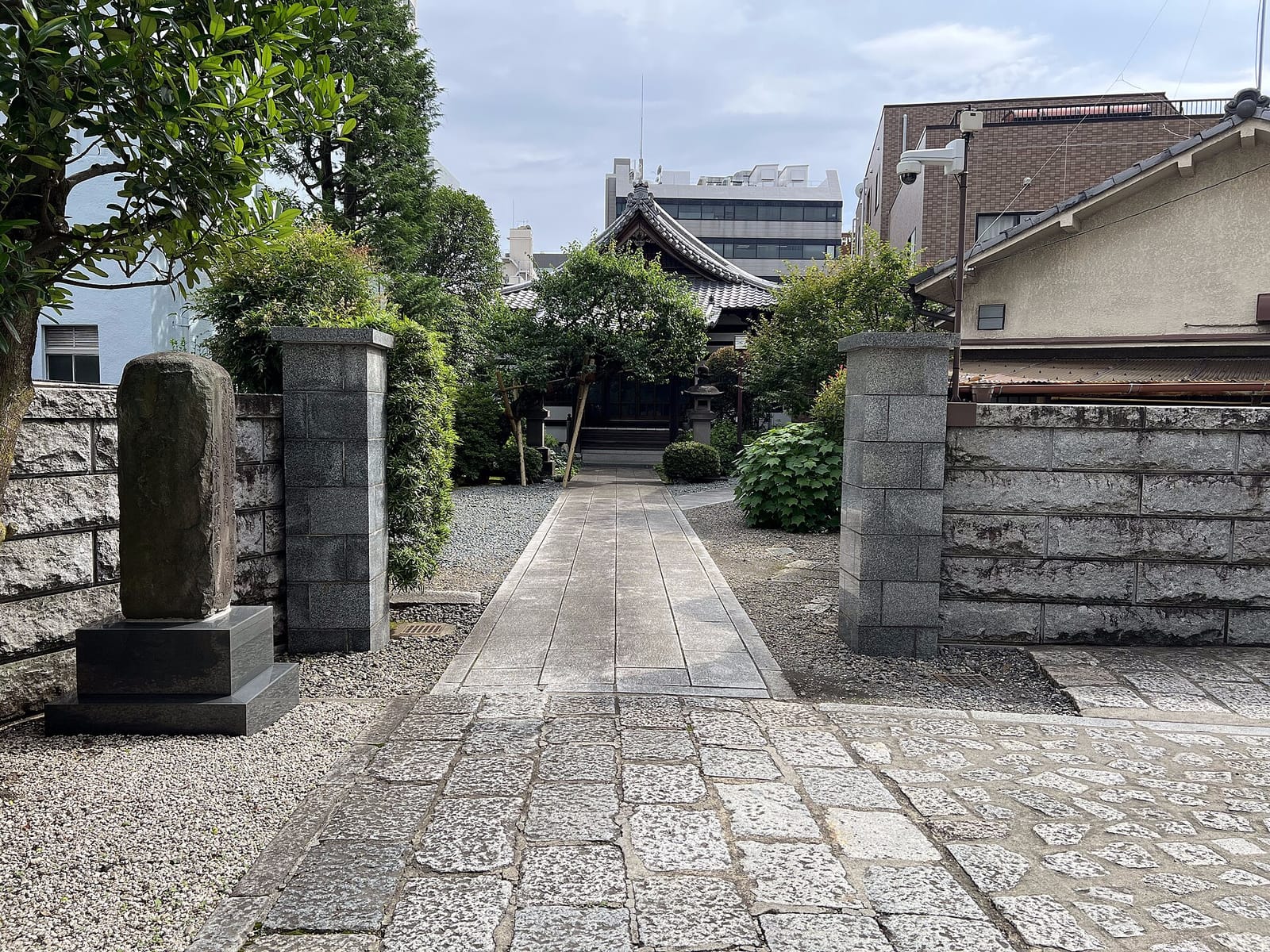 217 photo 3
