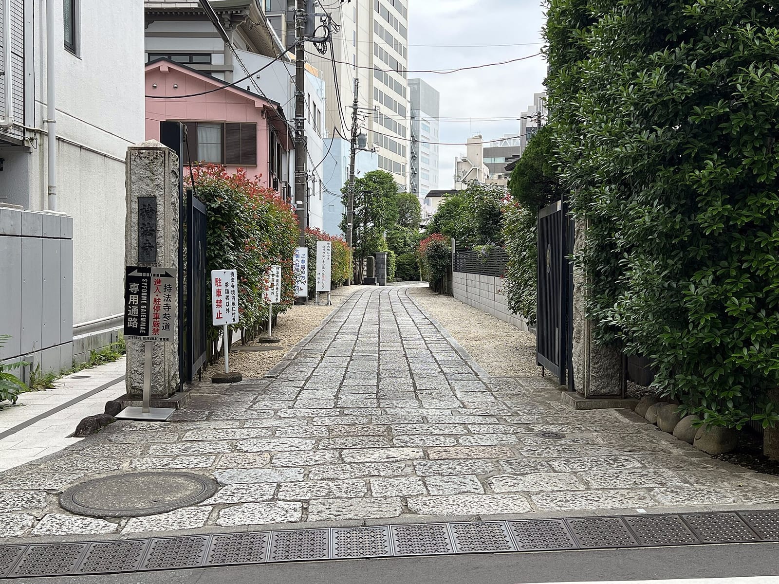 217 photo 2