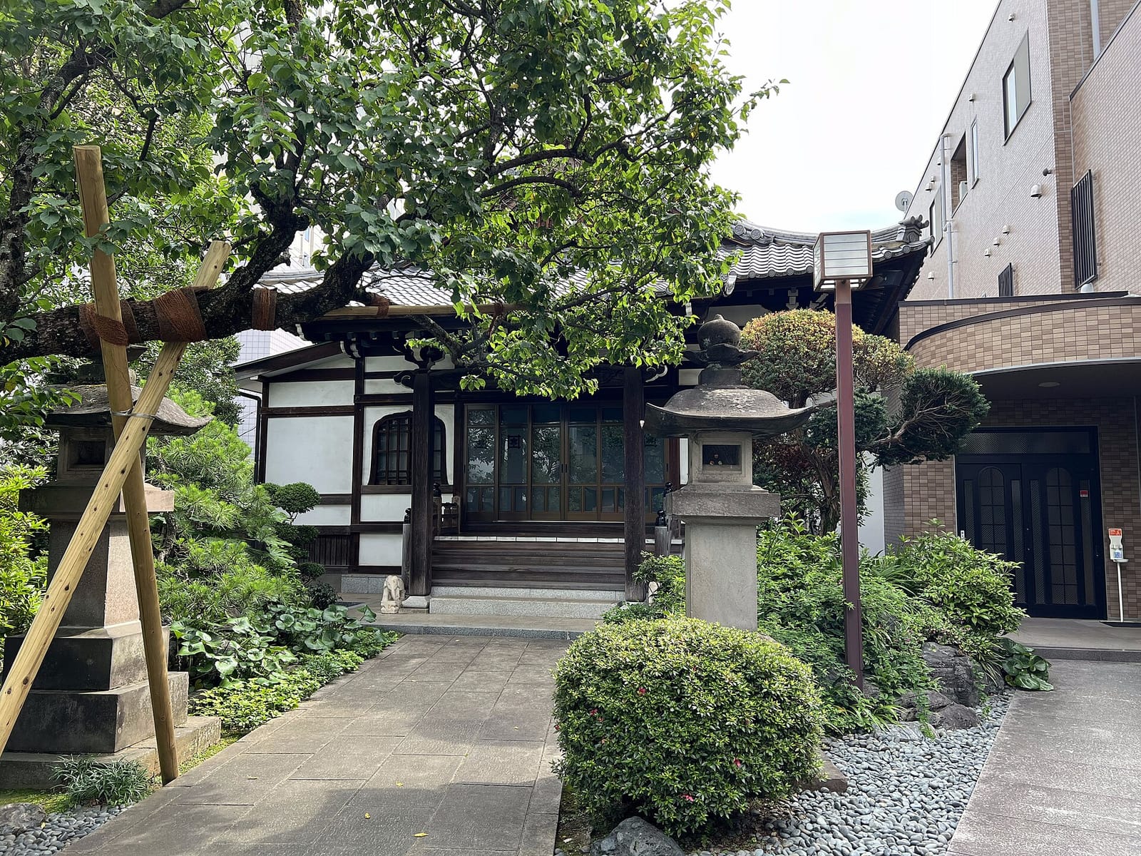 217 photo 4