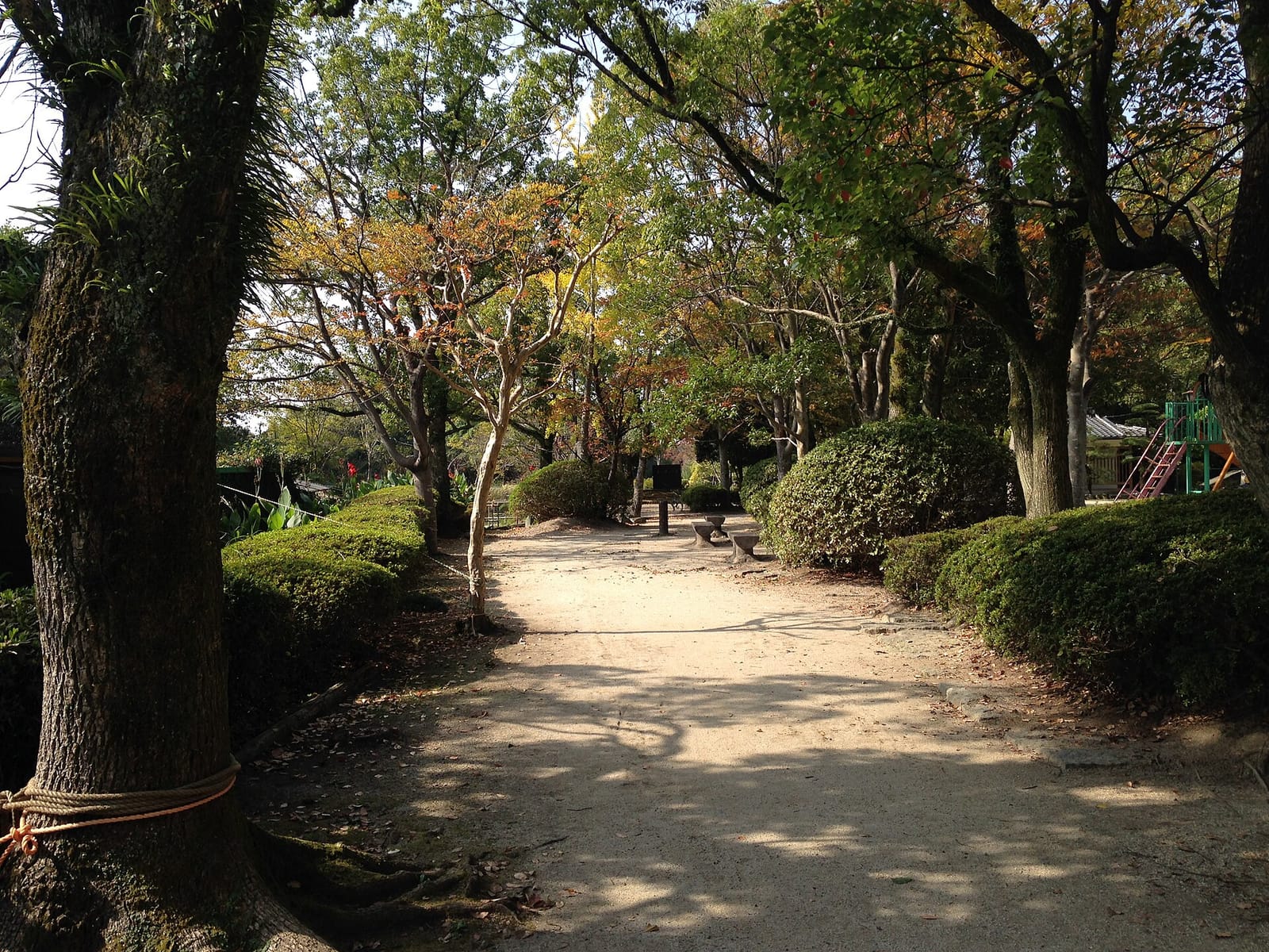 古民家Cafe tanabata photo 4