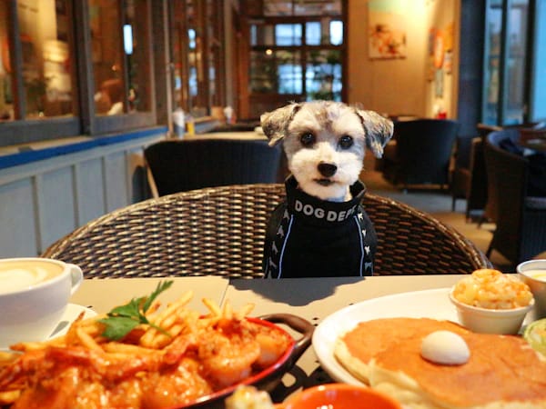 Kona's Coffee photo 3
