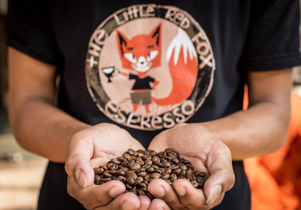 The Little Red Fox Espresso Cafe photo 2