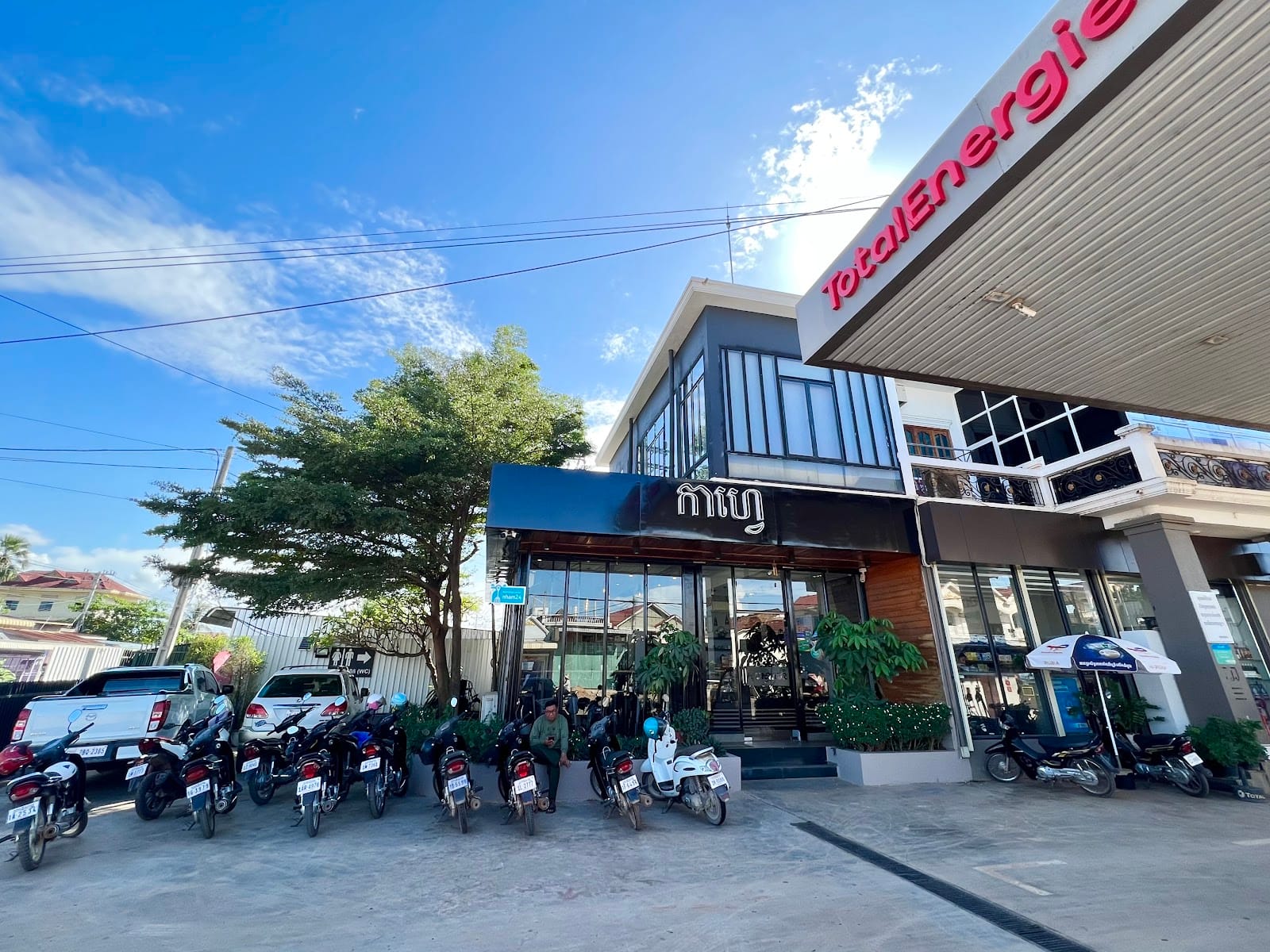 Pursat Coffee