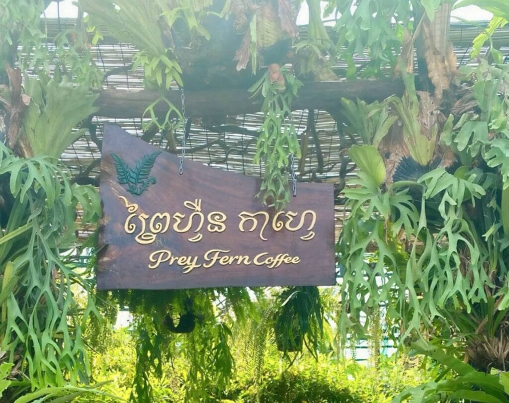 Prey Fern Cafe photo 3