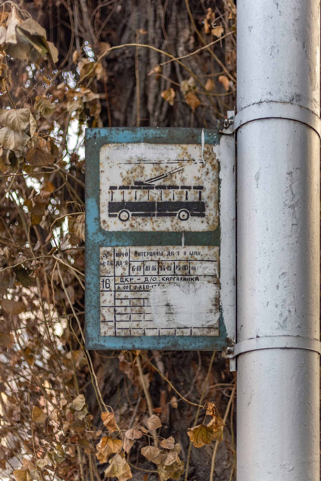 Shipudim