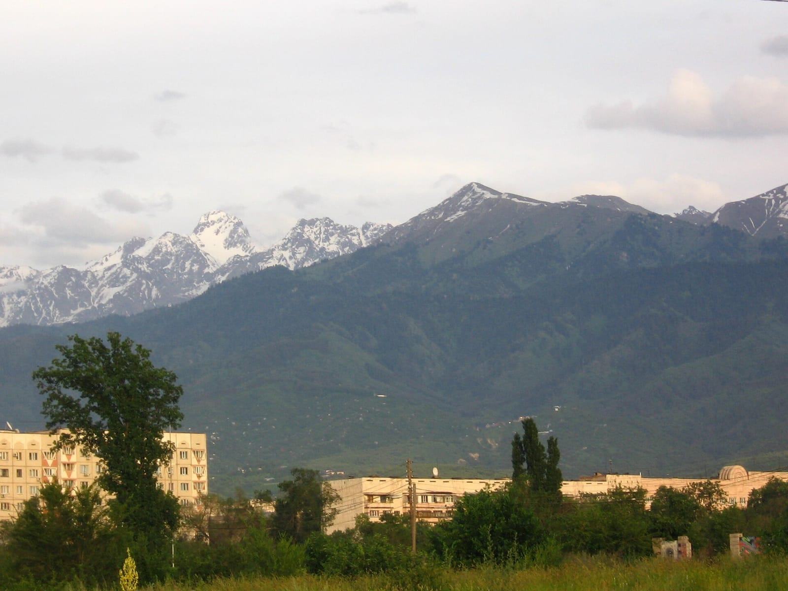 Arizona Coffee Almaty