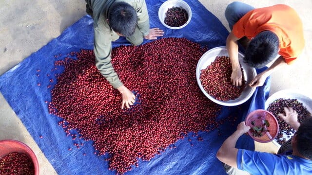Yuni Coffee Co. photo 9
