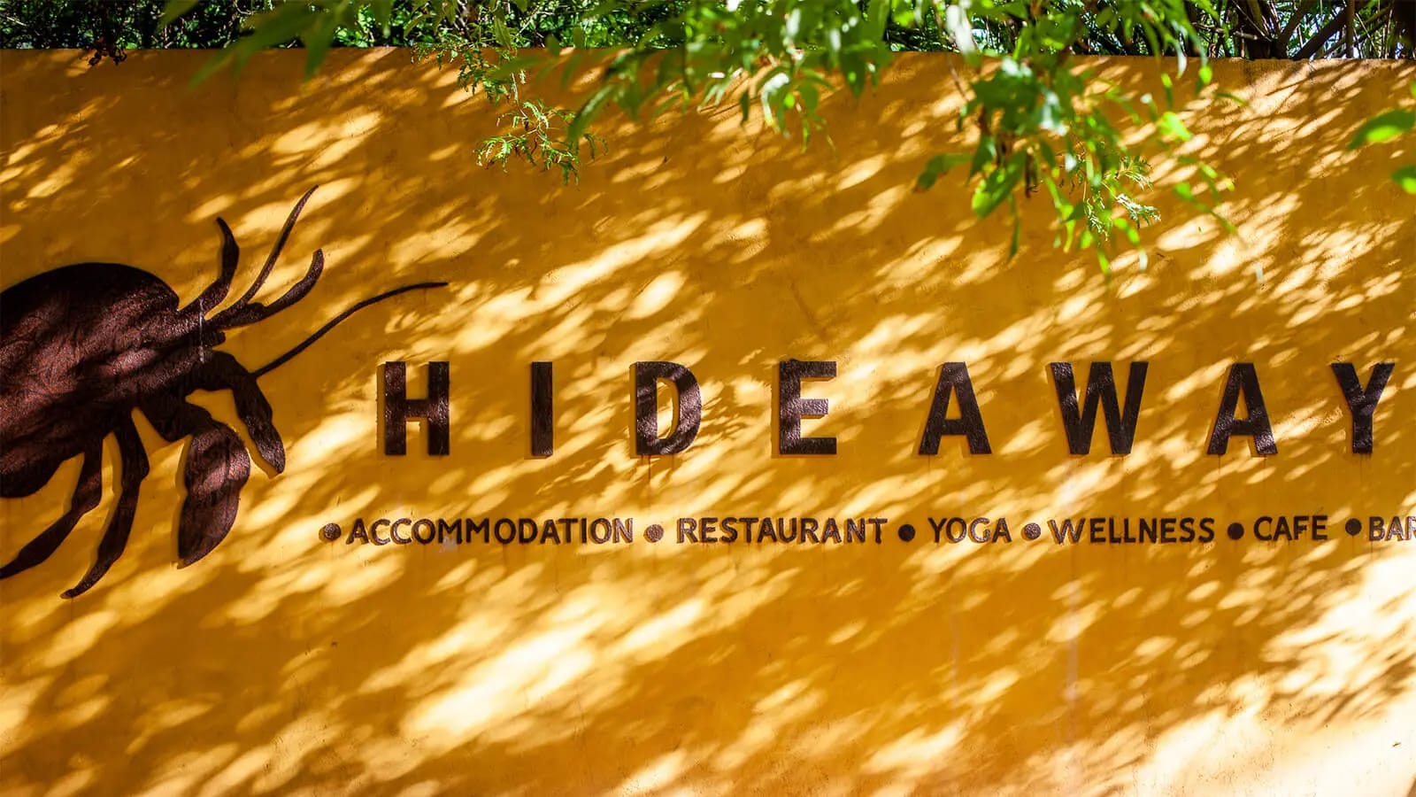 Hideaway Blue