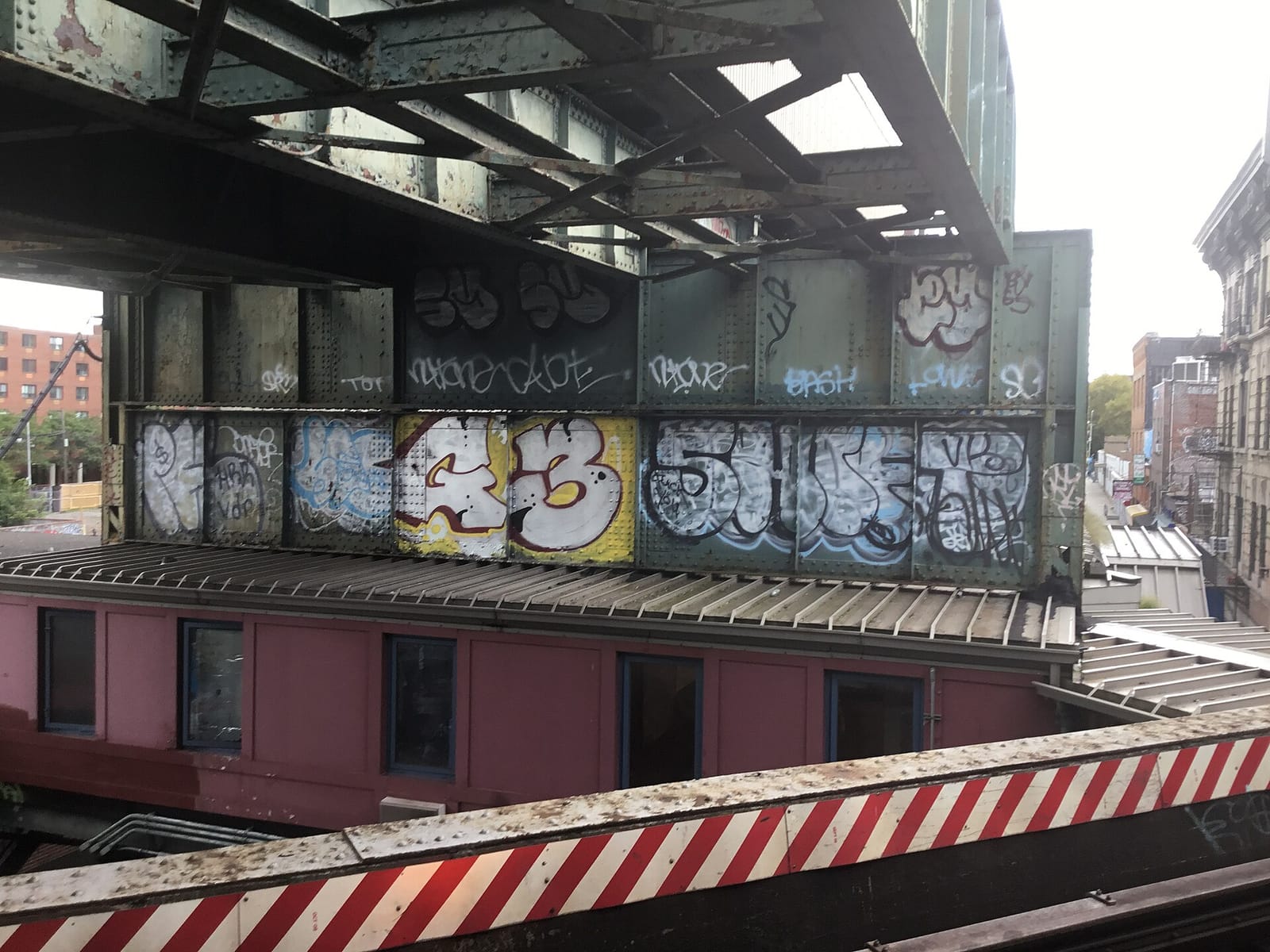 The Concrete Jungle photo 5