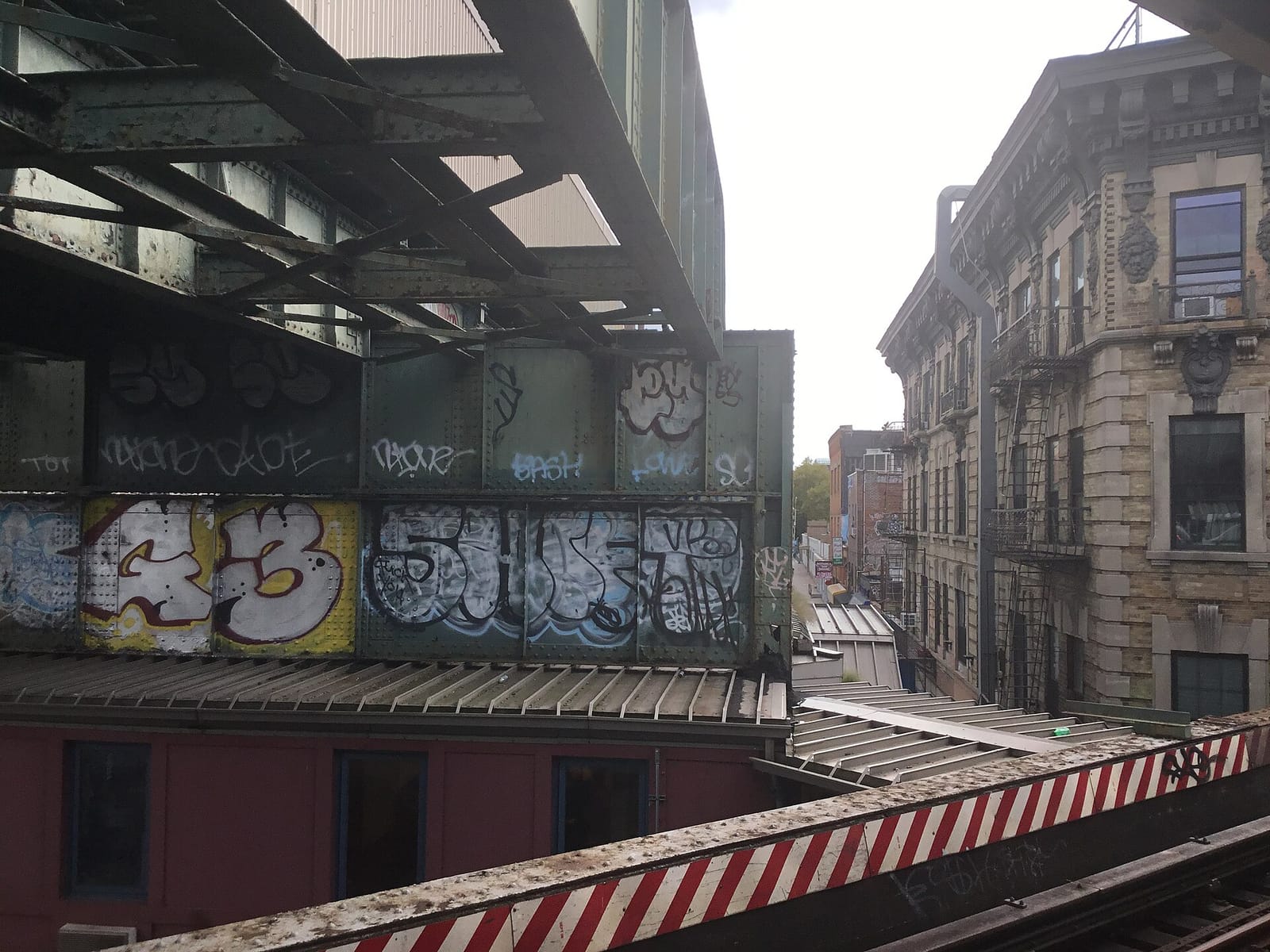 The Concrete Jungle photo 4