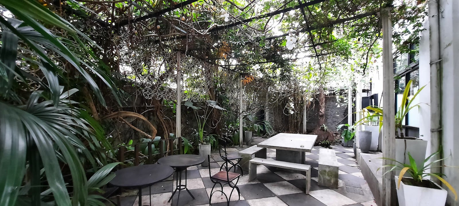 Tea avenue