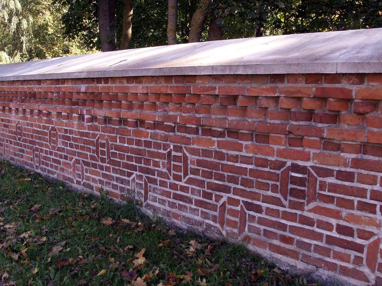 Pas grafą photo 2