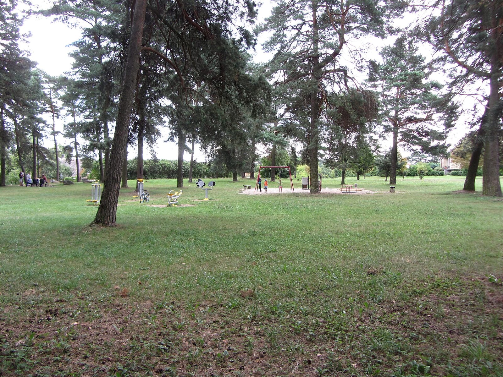 Pas Sandrą photo 2