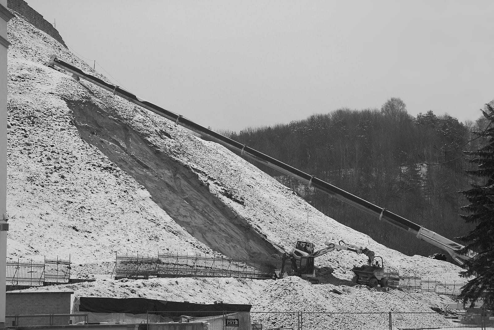 Valdovų rūmų kavinė photo 2