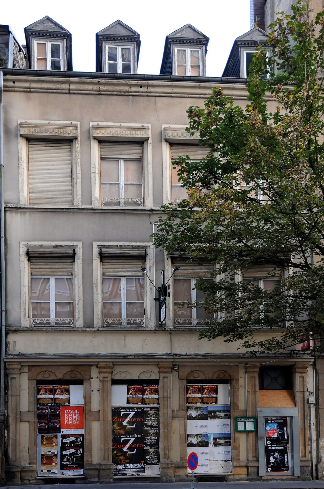 Café Knopes photo 2