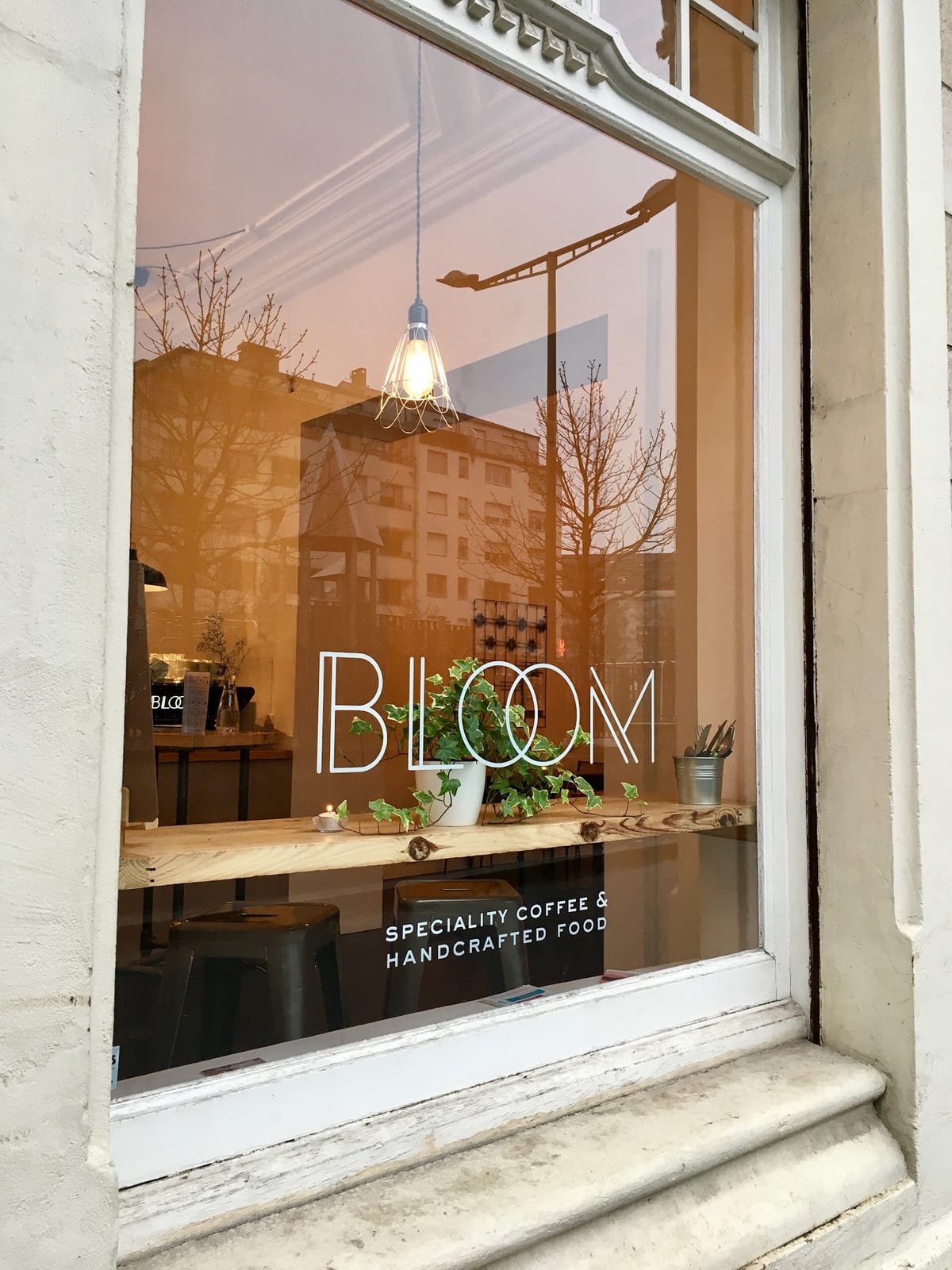 Bloom