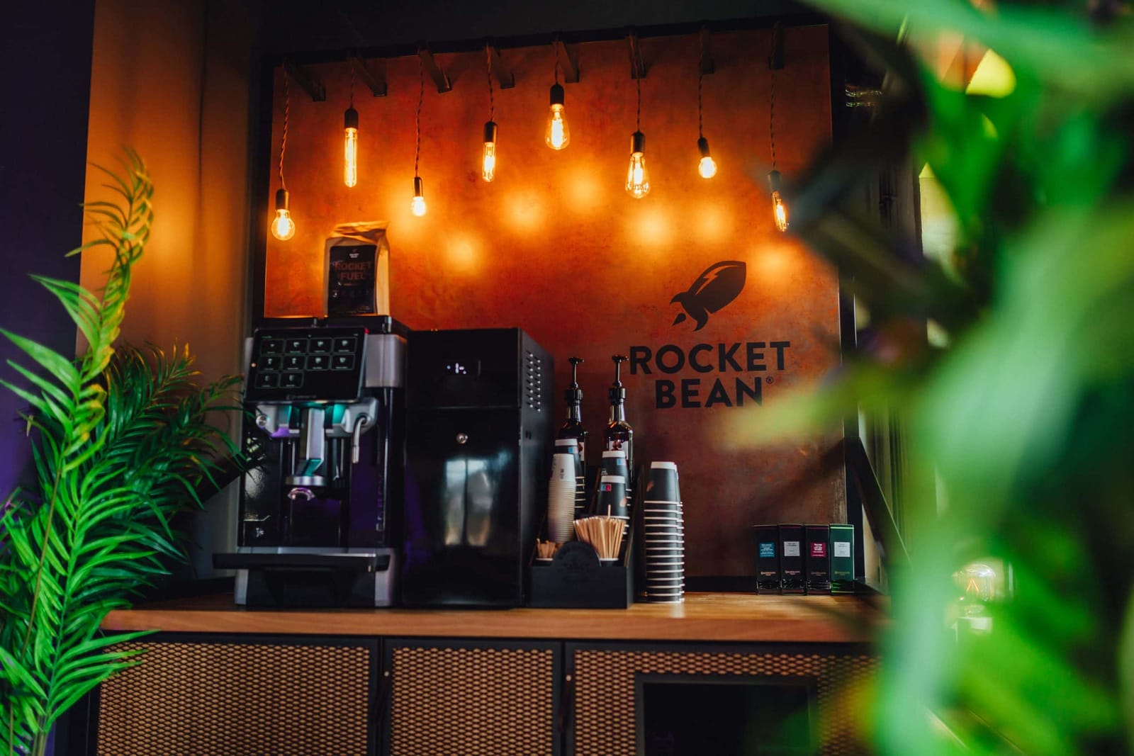 Rocket Bean photo 9