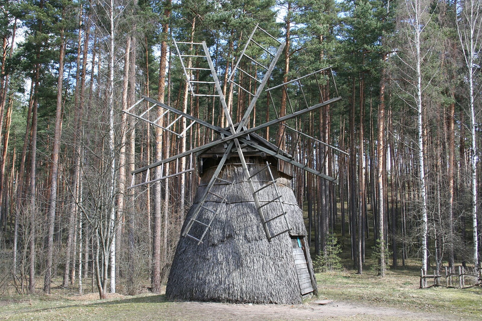 Pūnīte photo 2