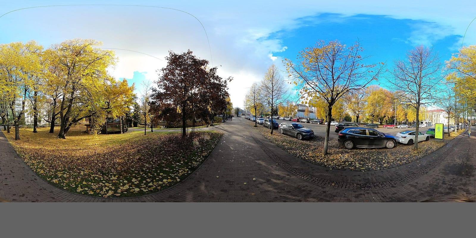 Tējo photo 4