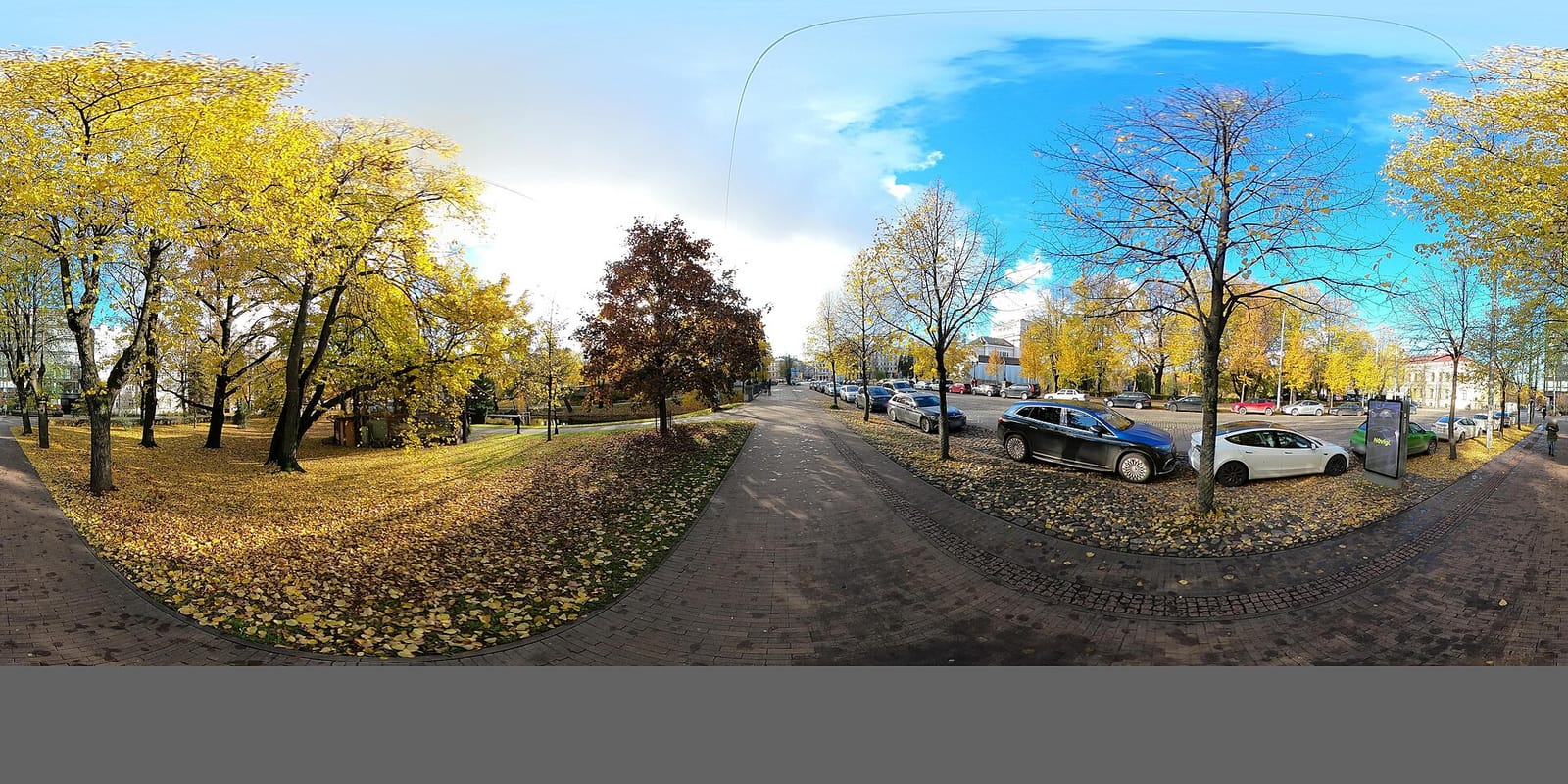 Tējo photo 3