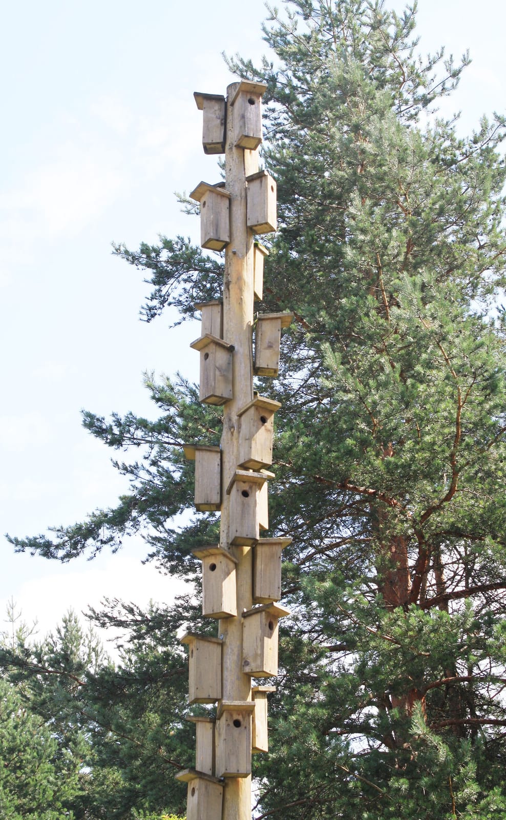 Velniņi