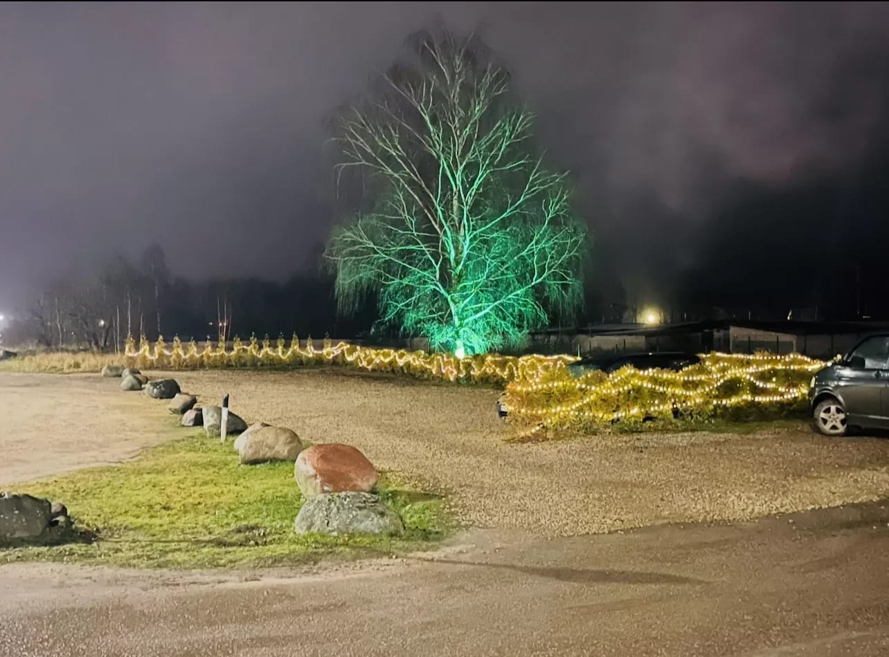 Ceļavējš photo 8