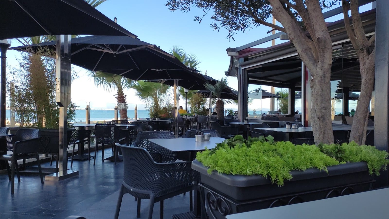 Café Panorama