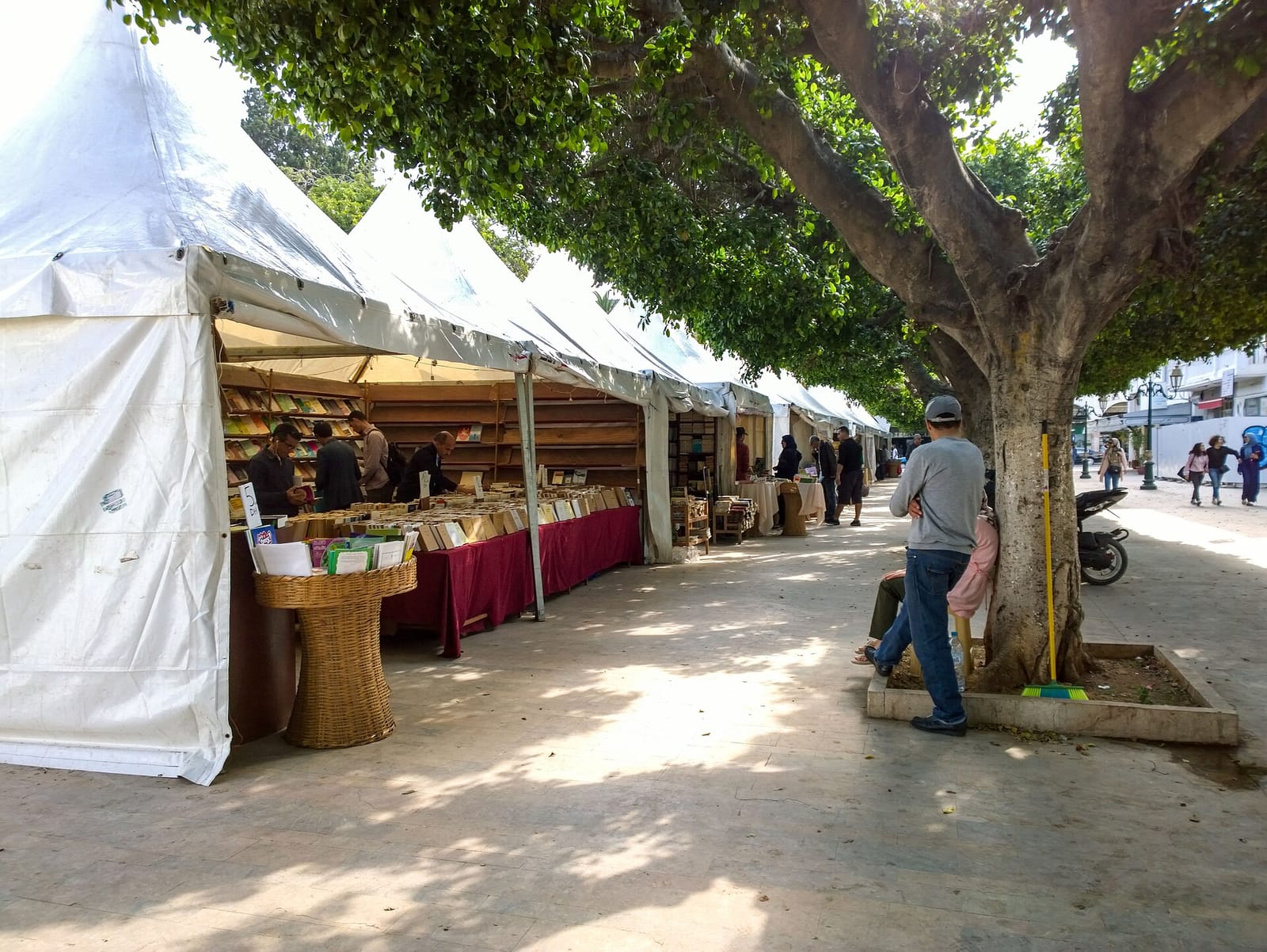 Green Café photo 2