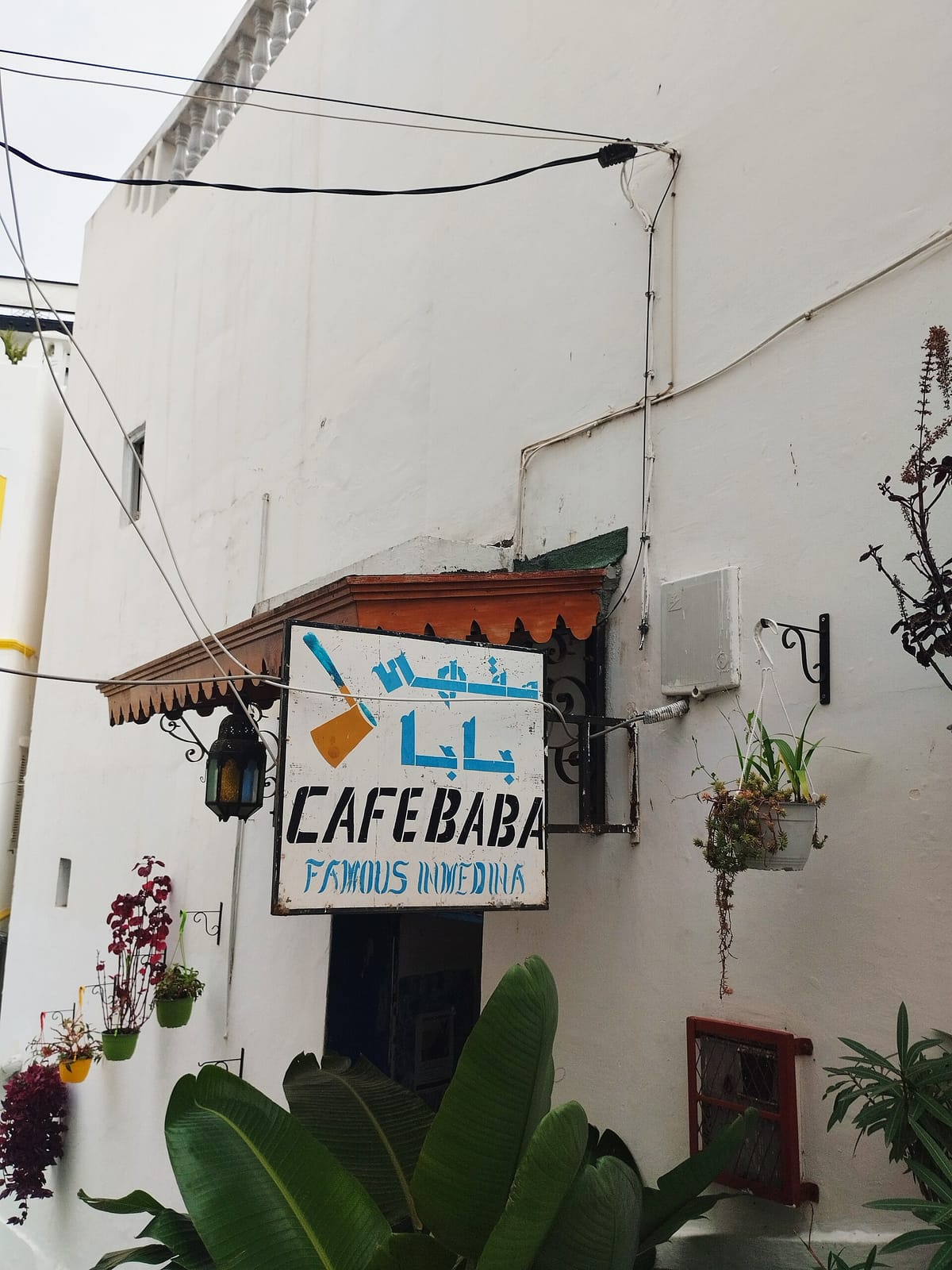 Café Babá photo 2
