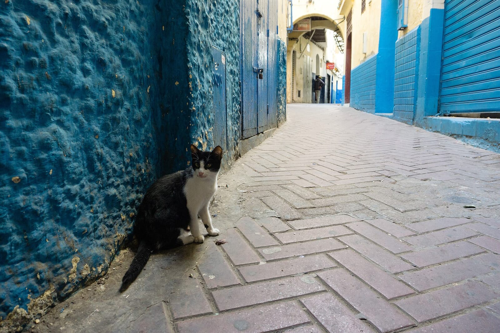 Bab Al Bahr photo 3