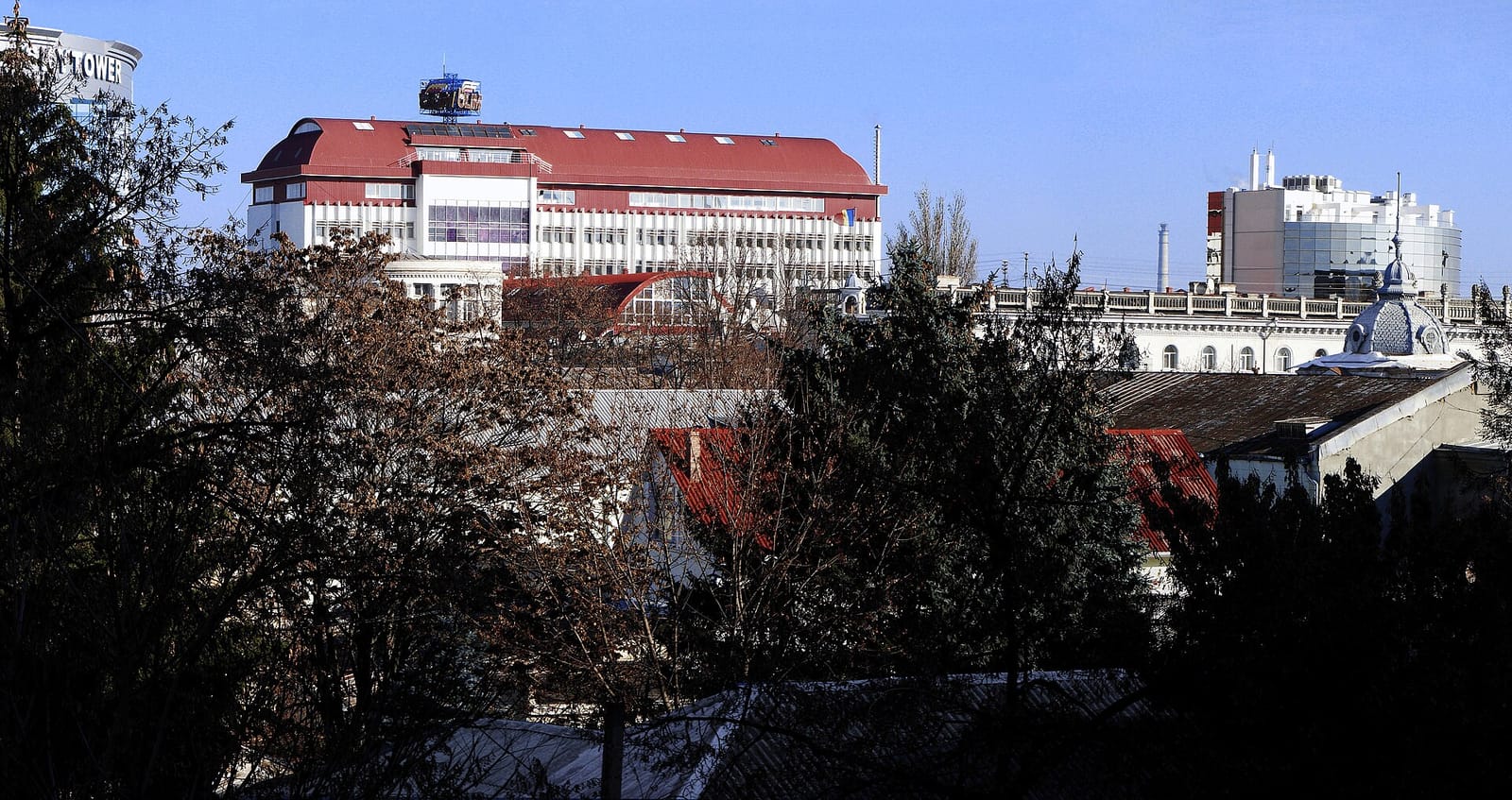 Gălbenuș