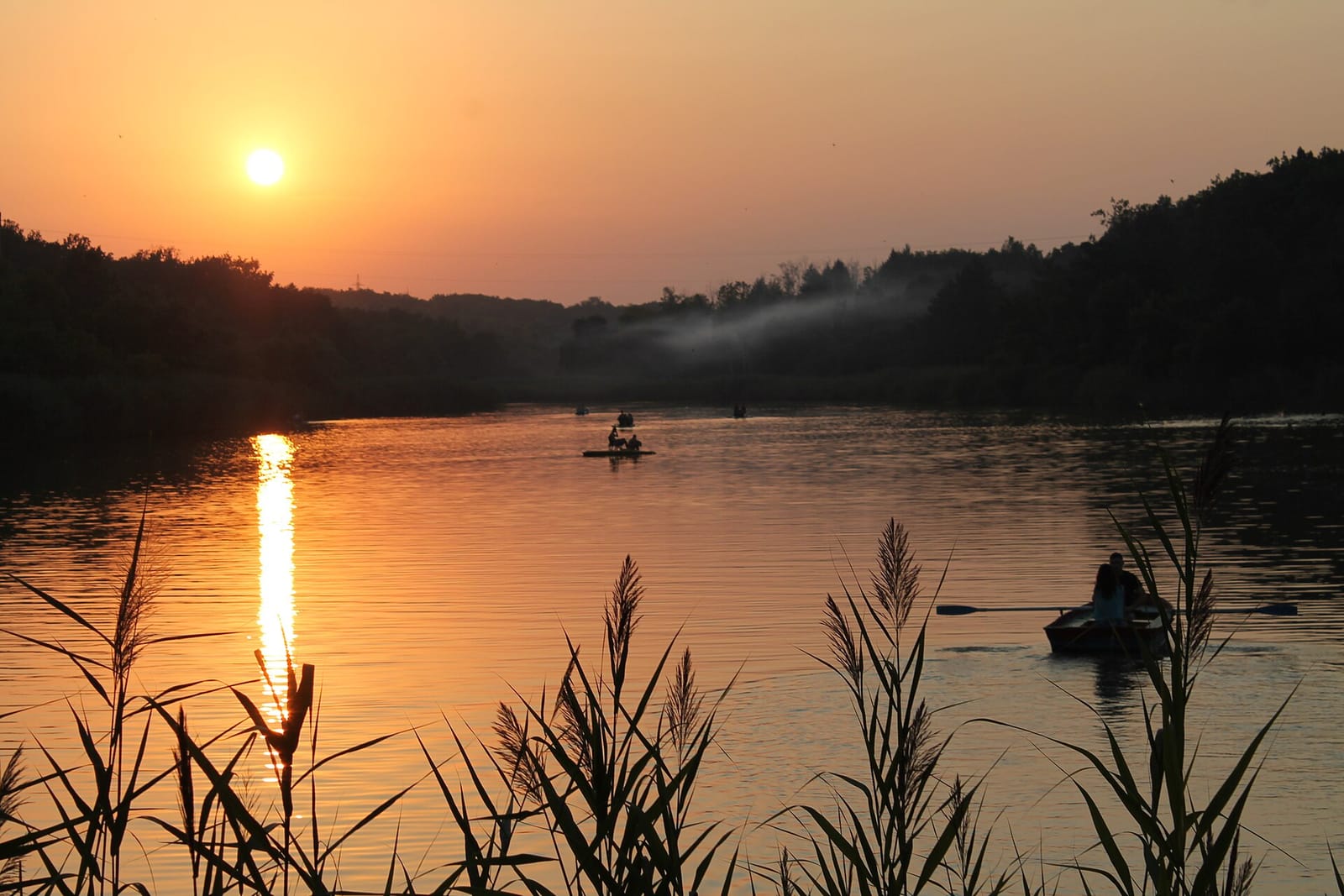 Oliva