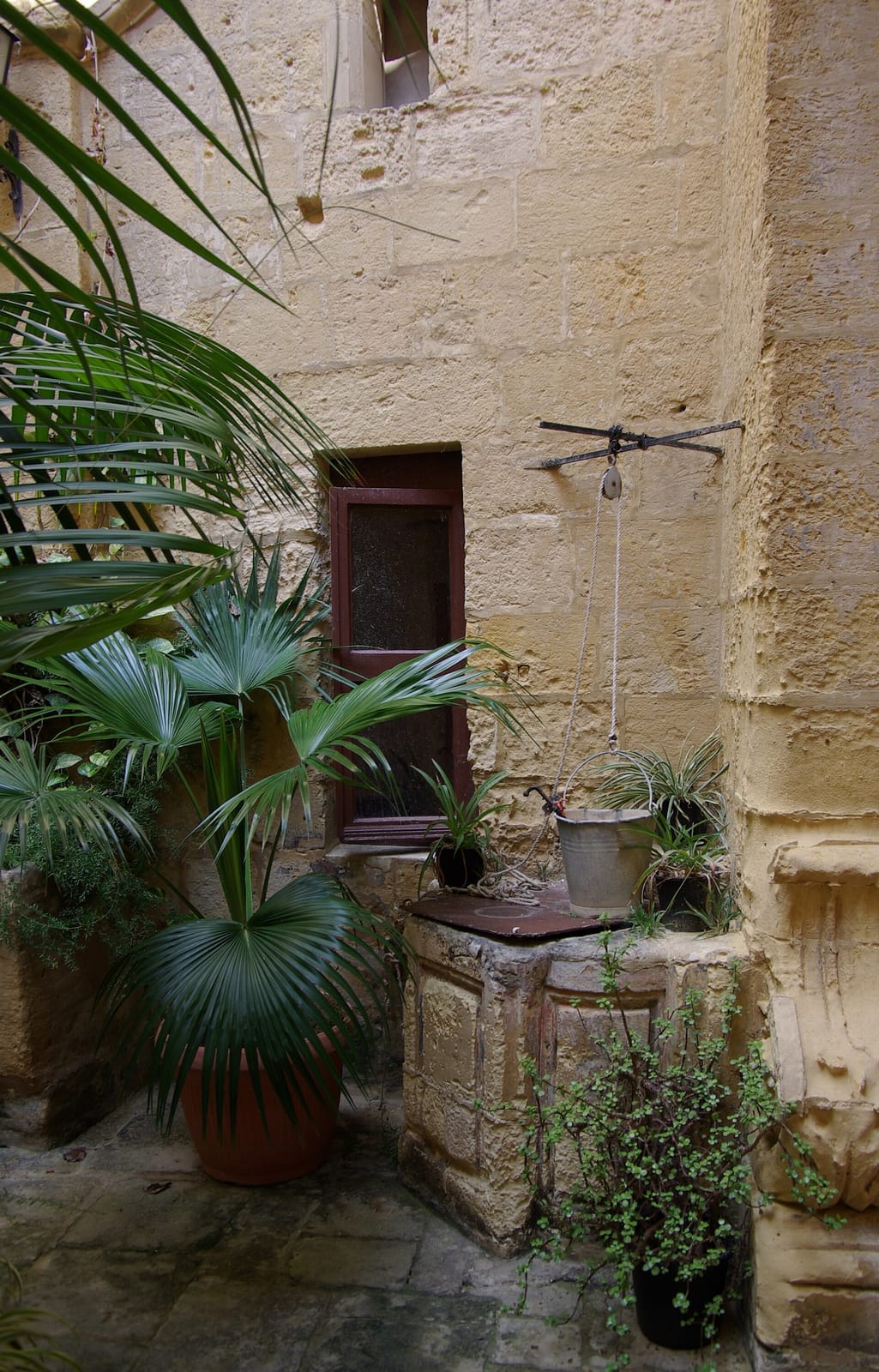 Cafe du Brazil photo 4