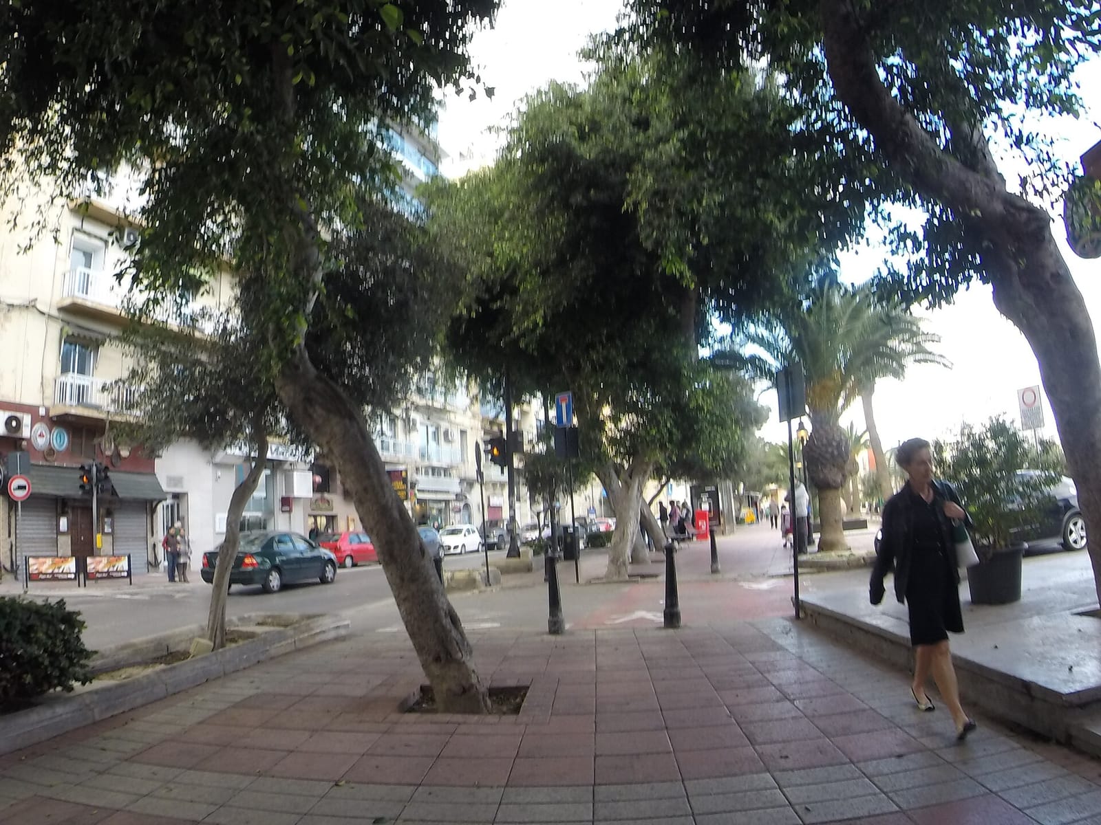 Costa photo 4